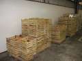 1308_Apples