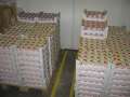 1309_Joghurt