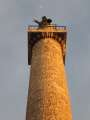 1564_Trajanss�ule