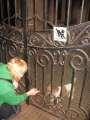 1573_Bissiger_Hund