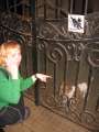 1574_Bissiger_Hund