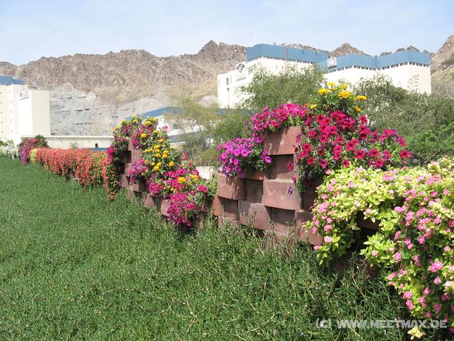 2093_Blumen