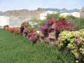 2093_Blumen