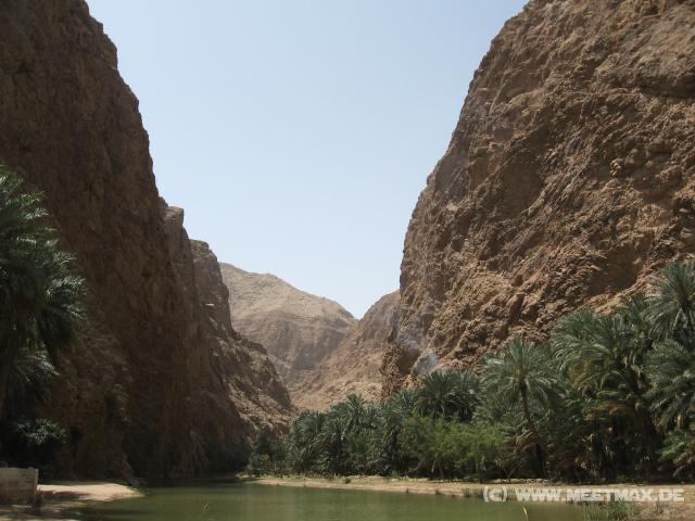 2315_Wadi_Shab
