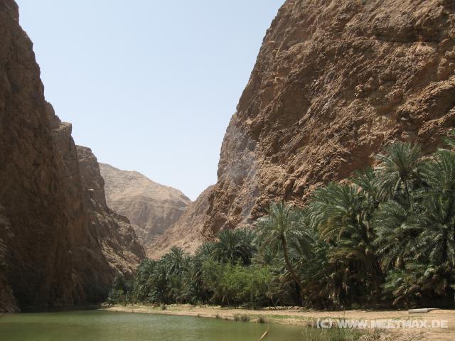 2317_Wadi_Shab