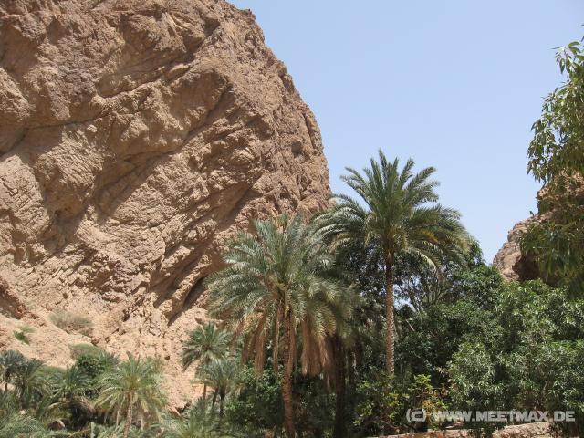 2319_Wadi_Shab