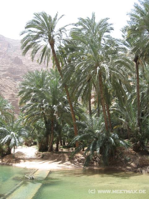 2320_Wadi_Shab