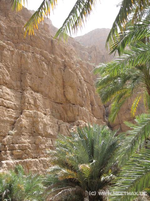 2323_Wadi_Shab