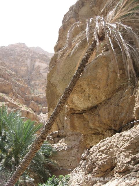 2324_Wadi_Shab