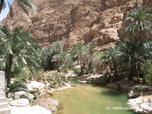 2325_Wadi_Shab