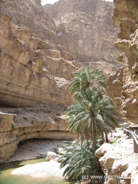 2326_Wadi_Shab