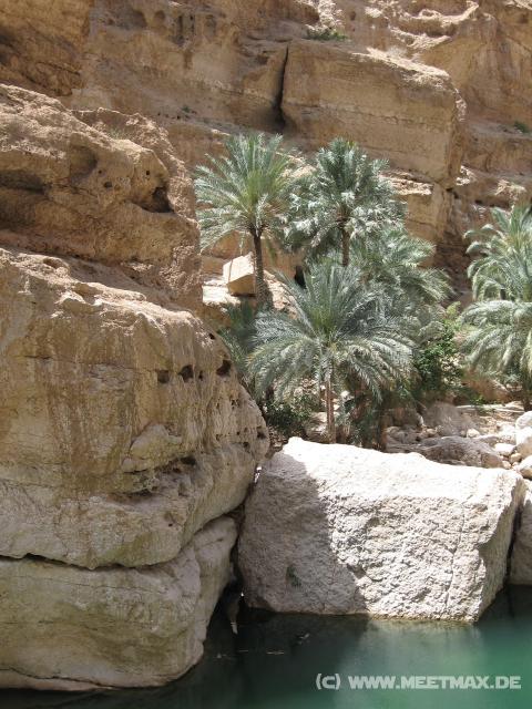 2329_Wadi_Shab