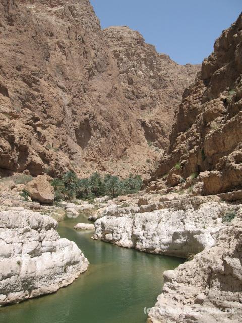 2342_Wadi_Shab