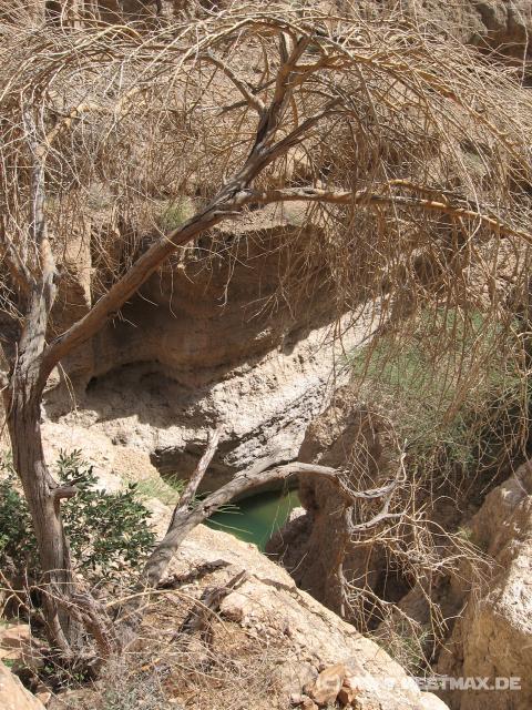 2356_Wadi_Shab