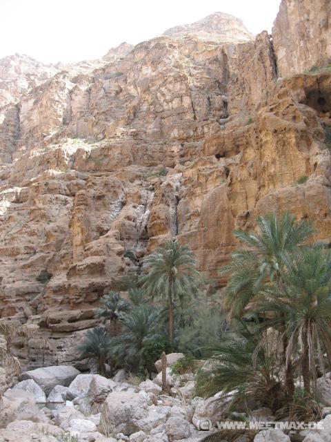2744_Wadi_Shab