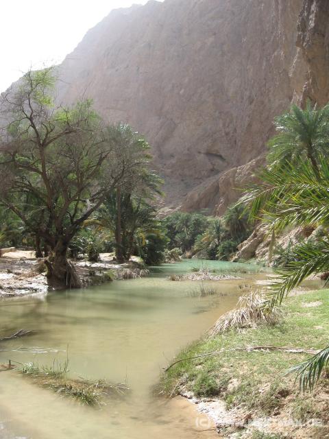 2747_Wadi_Shab