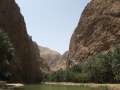 2315_Wadi_Shab