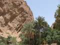 2319_Wadi_Shab