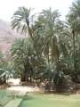 2320_Wadi_Shab