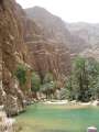 2321_Wadi_Shab