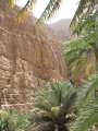 2323_Wadi_Shab