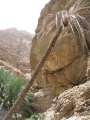 2324_Wadi_Shab