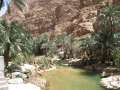 2325_Wadi_Shab