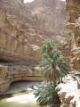2326_Wadi_Shab