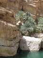 2329_Wadi_Shab