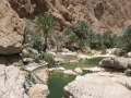 2336_Falaj