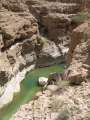 2349_Wadi_Shab