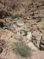 2350_Wadi_Shab