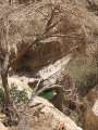 2356_Wadi_Shab