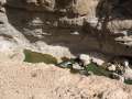 2357_Wadi_Shab