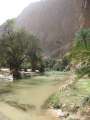 2747_Wadi_Shab