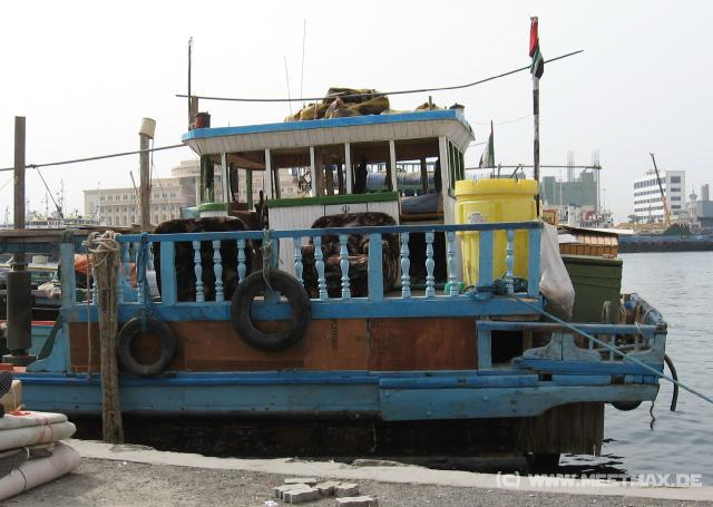 2887_Boot