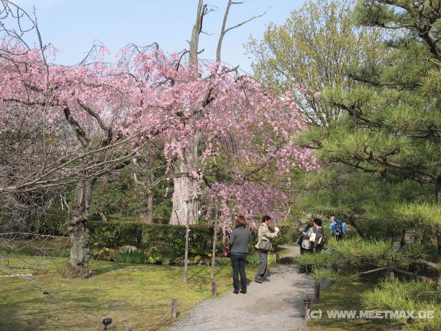 2986_Shosei-en-Park