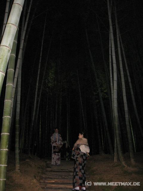 3097_Kimonos