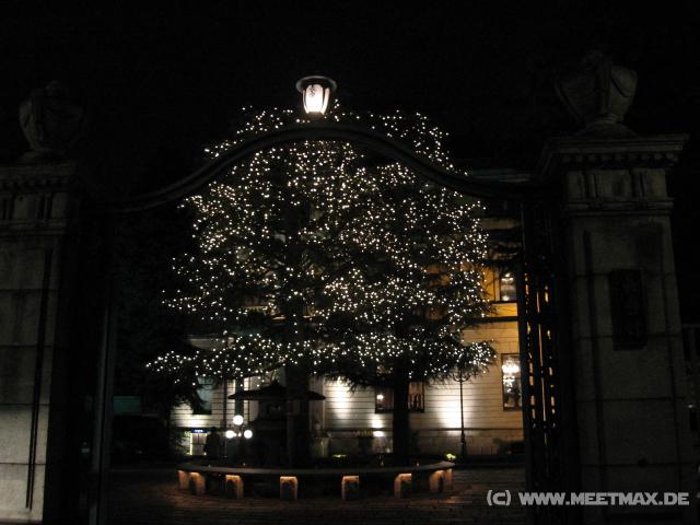 3100_Baumbeleuchtung