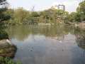 2983_Shosei-en-Park