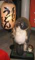 3062_B�renvieh