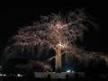 3101_Baum