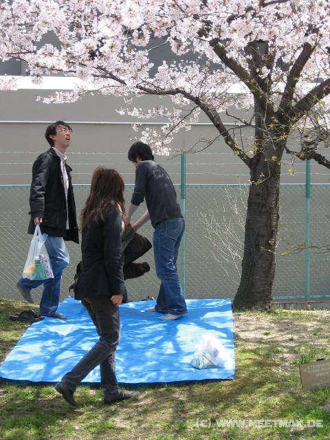 0118_Picknick