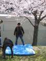 0117_Picknick