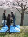 0118_Picknick