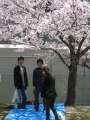 0119_Picknick