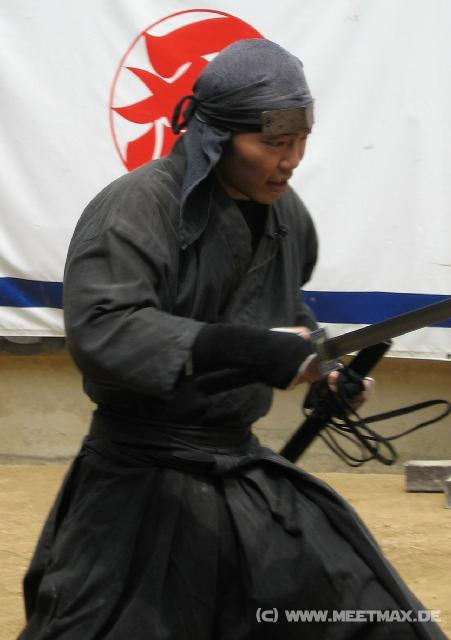 3481_Ninja-Show