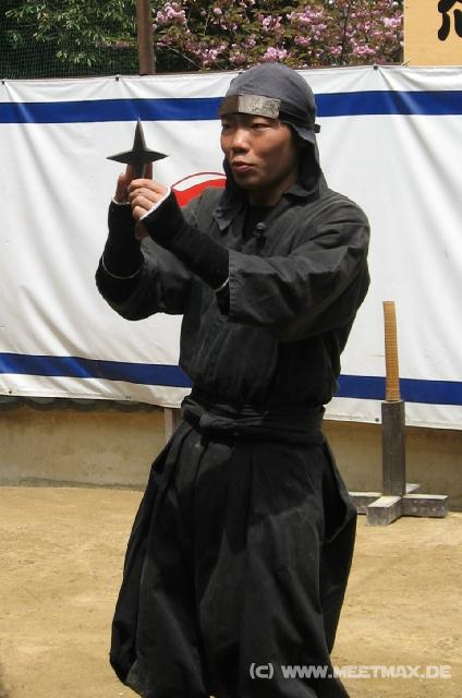 3489_Ninja-Show