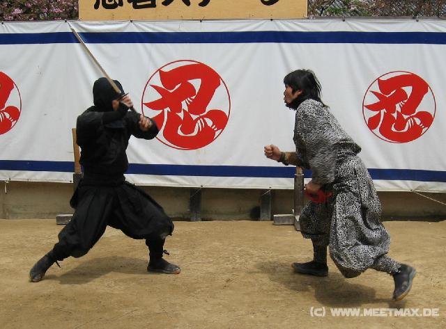 3496_Ninja-Show