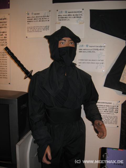 3528_Ninja